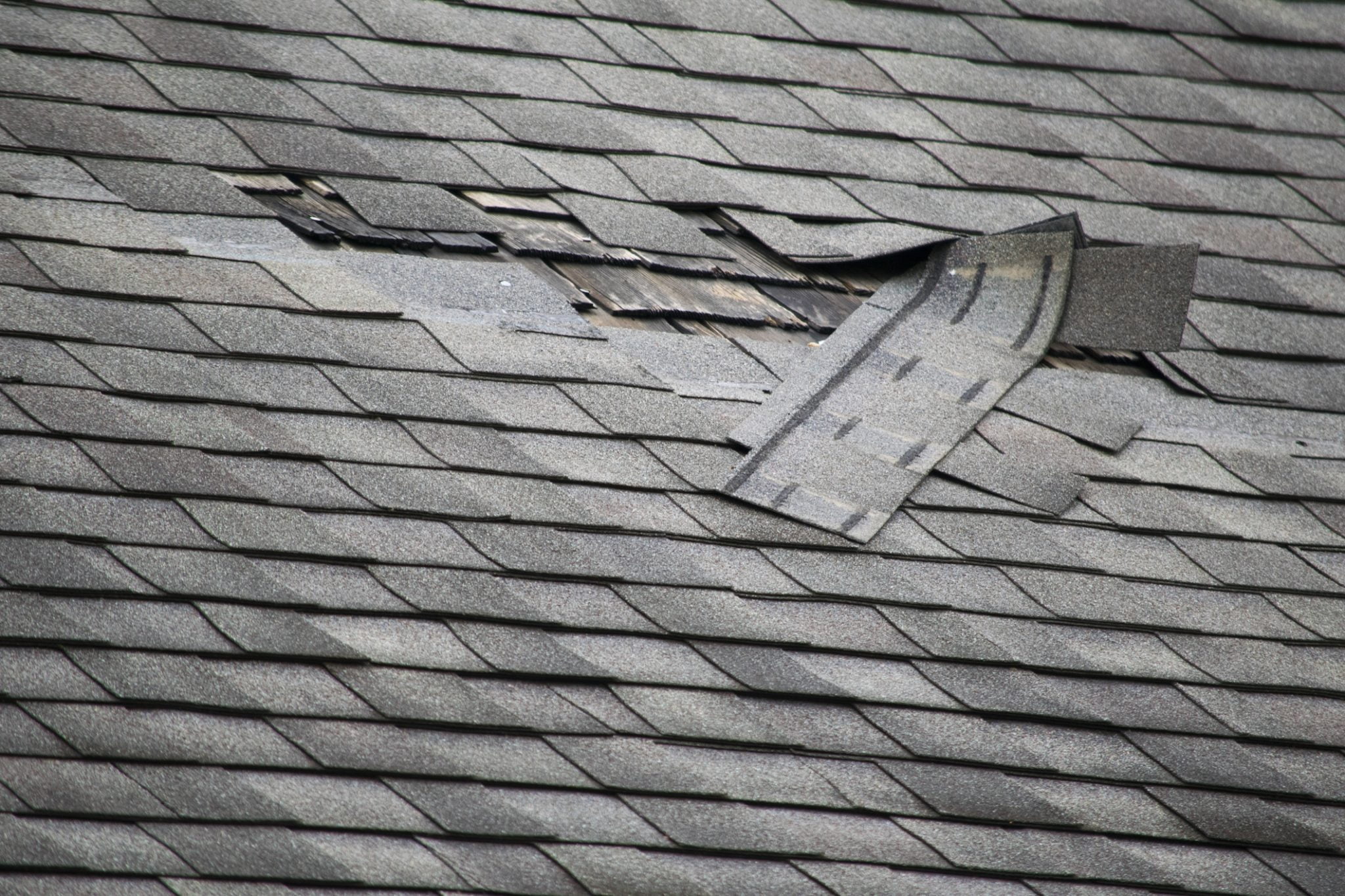damaged shingles on roof